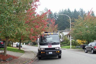 Fall Leaves and Street Sweeping 101