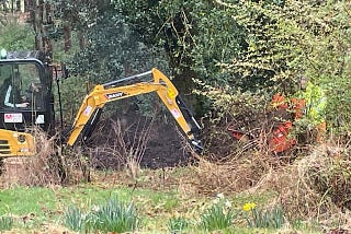 800 trees and a mini digger