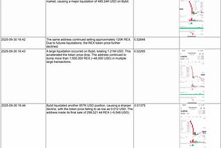 Incident Report on Abnormal Price Fluctuations of REX Token