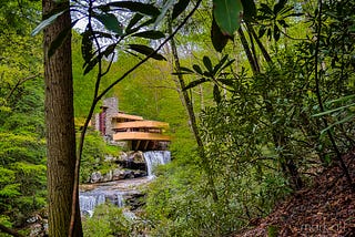 A look at Frank Lloyd Wright’s Fallingwater through the trees nearby