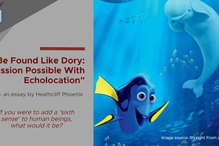 Be Found Like Dory: Mission Possible With Echolocation