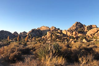 NY to LA by Civic: Day 14