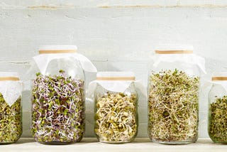 Sprouting 101: The Ultimate Guide to Sprouting Literally Any Seed or Nut