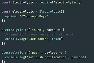 Picture showing Electrolytic example code to use push in Electron app