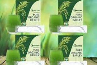 How Naveta Barley Grass Powder Can Transform Your Health?