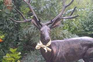 Why I Put a Ribbon on a Stag