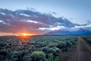 Celebrating Conservation Champions