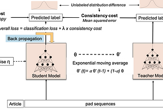 Machine Learning: Understanding Mean Teacher Model