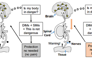 Minds and Molecules: Deciphering the Enigma of Pain