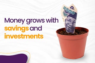 Money grows with savings and investment (with photo)