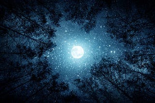 Why the Dark Days Might Be the Best Days (Yes, Really)
