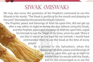 Why Dentists and Scientists Recommend Miswak (مسواك) for Tooth Pain Defence?