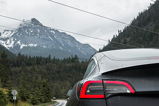 Surviving the four possible futures of EV charging
