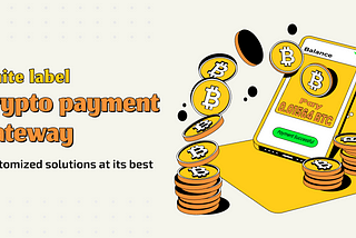 White Label Crypto Payment Gateway — Budget-Friendly Solution for Crypto Payment Gateway…