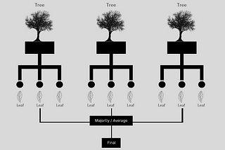 Random Forest Model