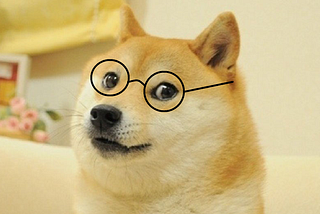 Setting the record straight on Dogecoin’s most common misconceptions