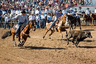 The Relatively Unknown World of Rodeo