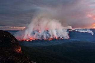 A Trial by Fire: Australia and the Bushfire Crisis