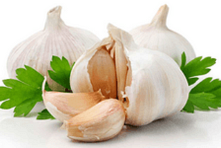 Garlic in daily diet