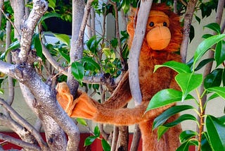 The Monkey in the Tree: On Hidden and Not-So-Hidden Assumptions