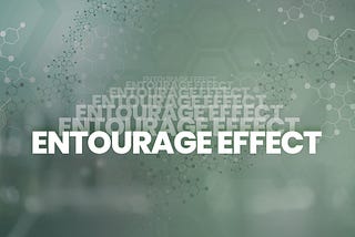 The Entourage Effect: Unlocking the Full Potential within Cannabis
