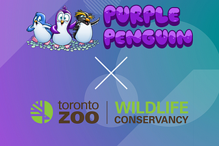 Toronto Zoo & Wildlife Conservancy Species Ambassador - African Penguin