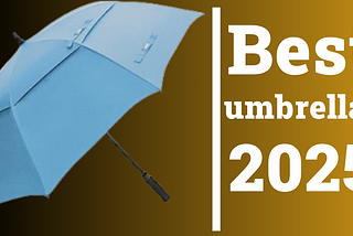 Best umbrellas | Top 5 umbrellas 2025 Can This Umbrella Survive a Storm?