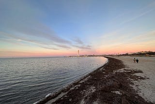 Sunset over Ribersborg beach in Malmö. Turning Torso in the sunset. Two people are walking on the beach. Sea weed washed up on the shores on the beach. Blue skies with some grey white clouds.