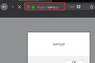 XSS on Samy.pl (Samy Kamkar)