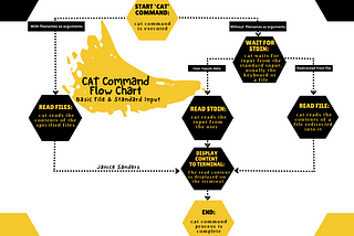 ‘cat’ Command: A Visual for the Curious Beginner