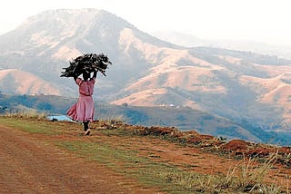 Cultivating a land identity: South African women’s land rights.