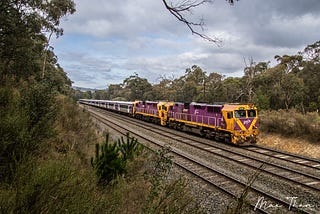 Photographing N’s in the Goulburn Valley.