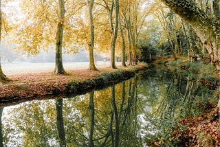In the End, Water Will Always Find Its Way.