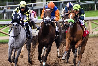 THREE LESSONS TO LEARN FROM RACEHORSES