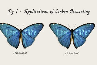 Carbon Registries and the Rituals of Realness