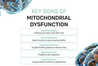 Infographic Key signs of mitochondrial dysfunction