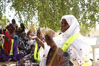 The village gurus training mothers to tackle hunger in Chad