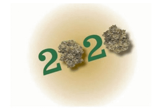 The 2020 Cannabis Industry, A Review of The Good & The Bad