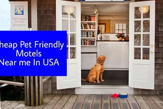 Cheap Pet Friendly Motels Near Me In USA — Best Motels & Pets Are Always Welcome Here