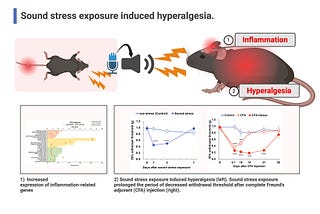 Researchers Discover That Sound Stress Alone Can Prolong and Intensify Pain
