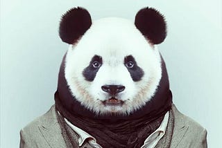 Exploratory Data Analysis made Easy with Pandas Profiling
