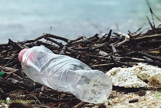 Actions to Stop Plastic Pollution: Solutions to Reduce The Impact