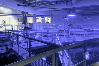 A Visit to a Norwegian Fish Farm