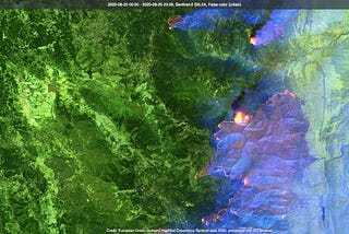 Wildfire mitigation — protecting people, property and the planet