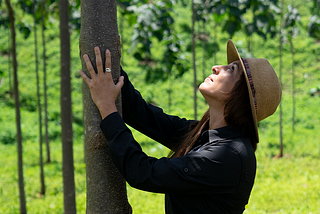 Invest in the Eco-Tree Program by World Tree: Empress Trees