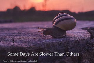 A snail walking across pavement with words, “Some days are slower than others.”