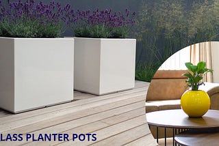 Top Fibreglass Planter Pots in Singapore