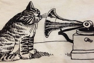 Cat staring at gramophone horn