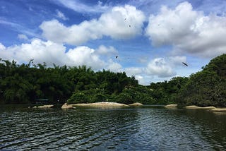 The Cauvery River Dispute Saga