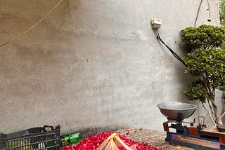 Reflections on Grief and Nostalgia: Finding Solace in Lahore